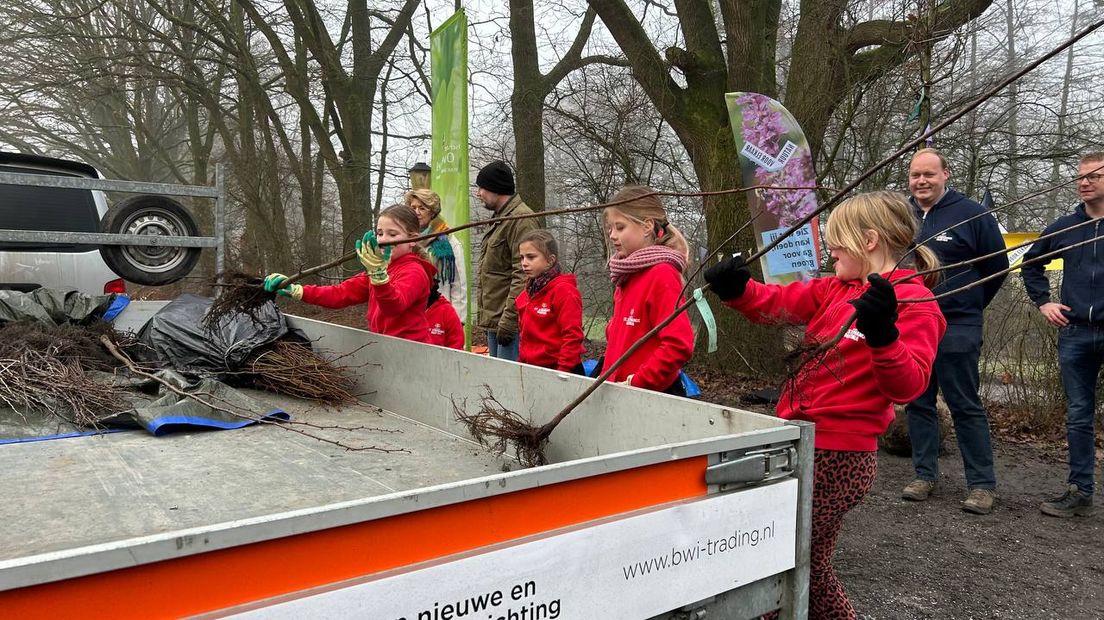 Ambitie Provincie Overijssel: Eén nieuwe boom voor elke Overijsselaar planten