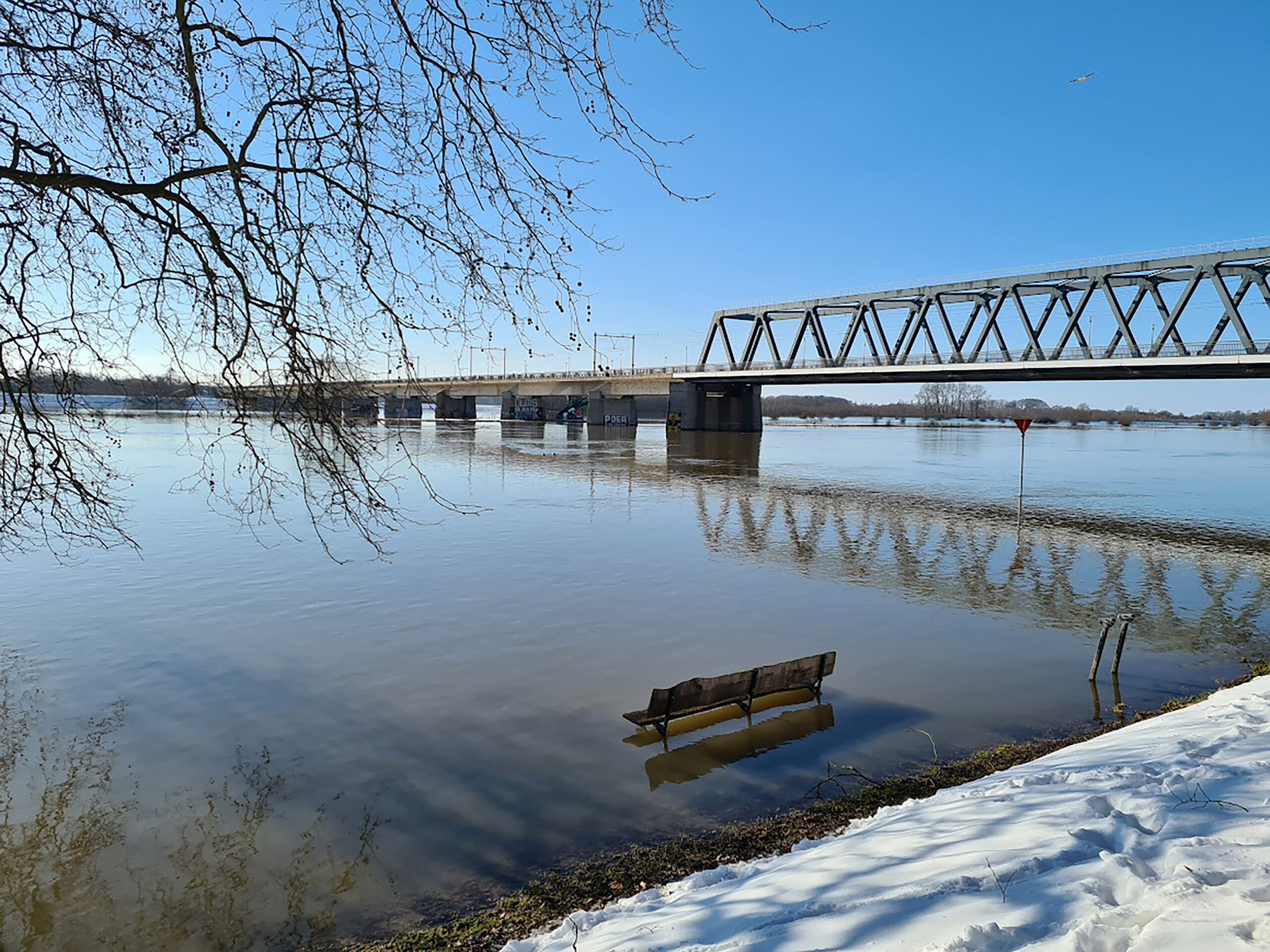Natuurfoto expositie bij Infocentrum IJssel in Den Nul
