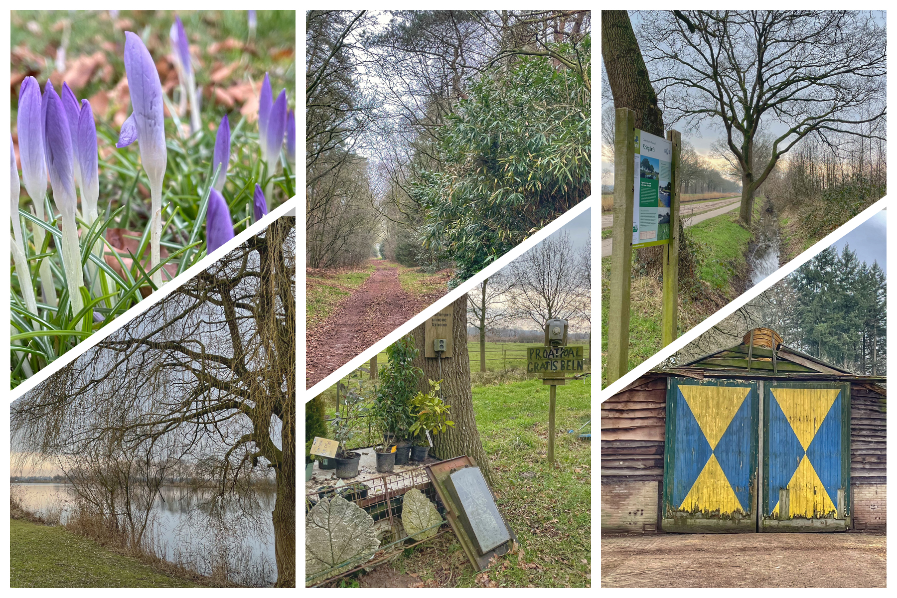 Hoe mooi is Salland?! langs het Overijssels Kanaal, over het Reelaer en de Krieghuusbelten