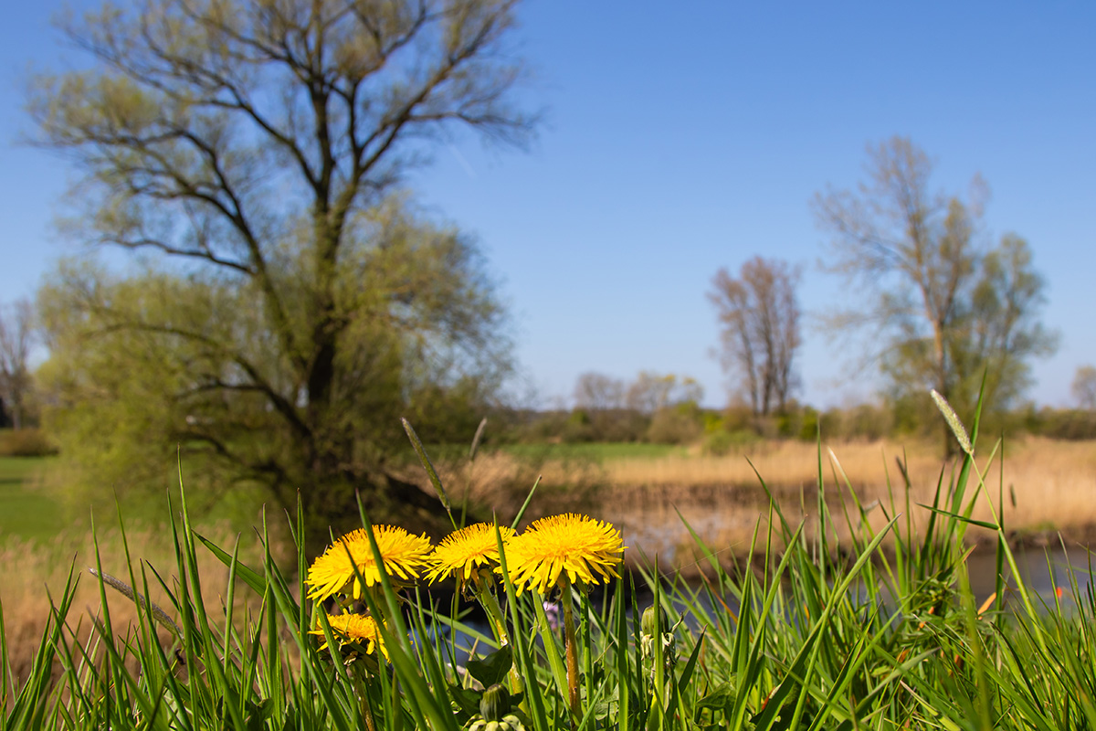 Overijsselse Week van het Platteland 2025
