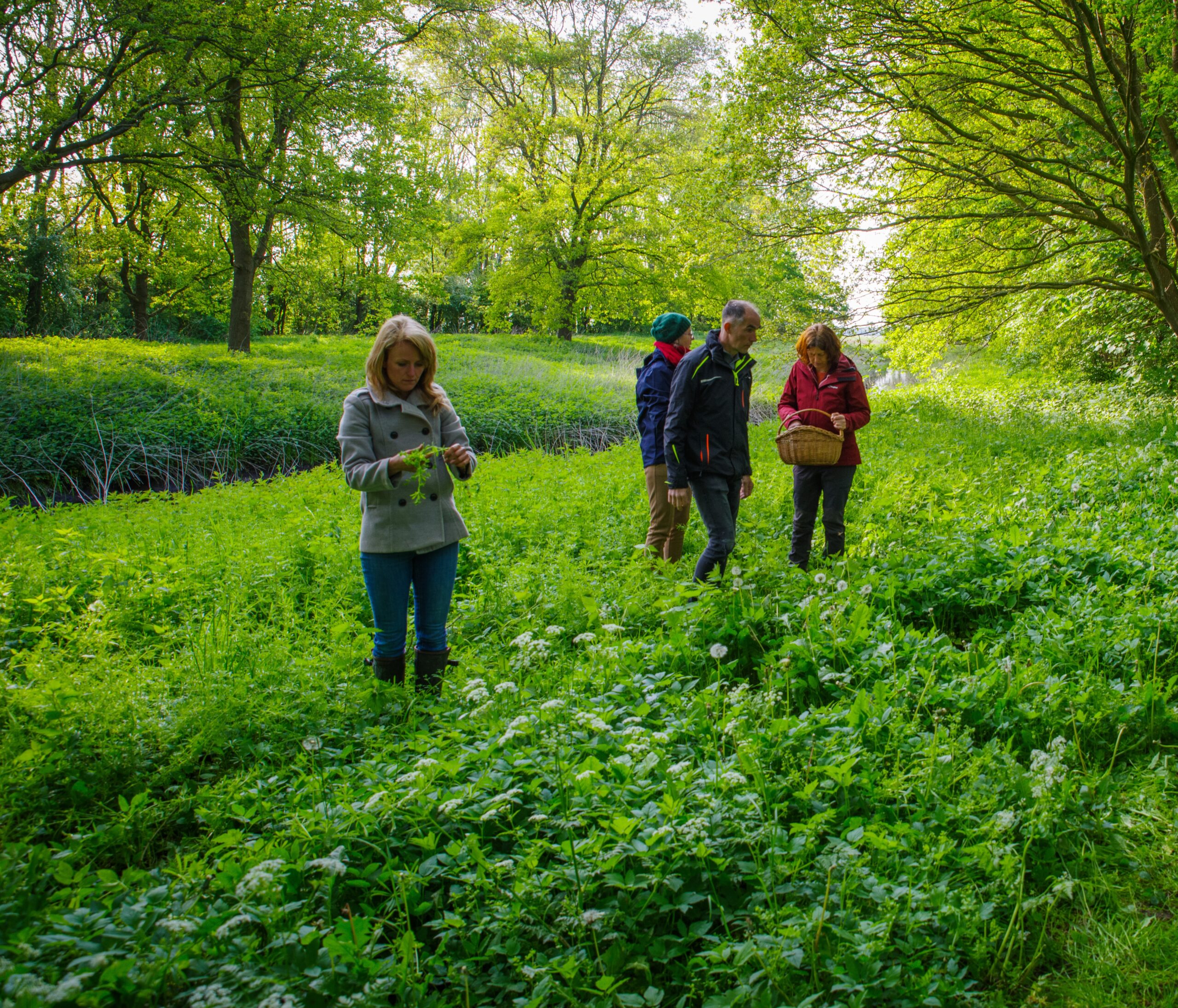 Eetbare wilde plantenwandeling rondom infocentrum IJssel Den Nul