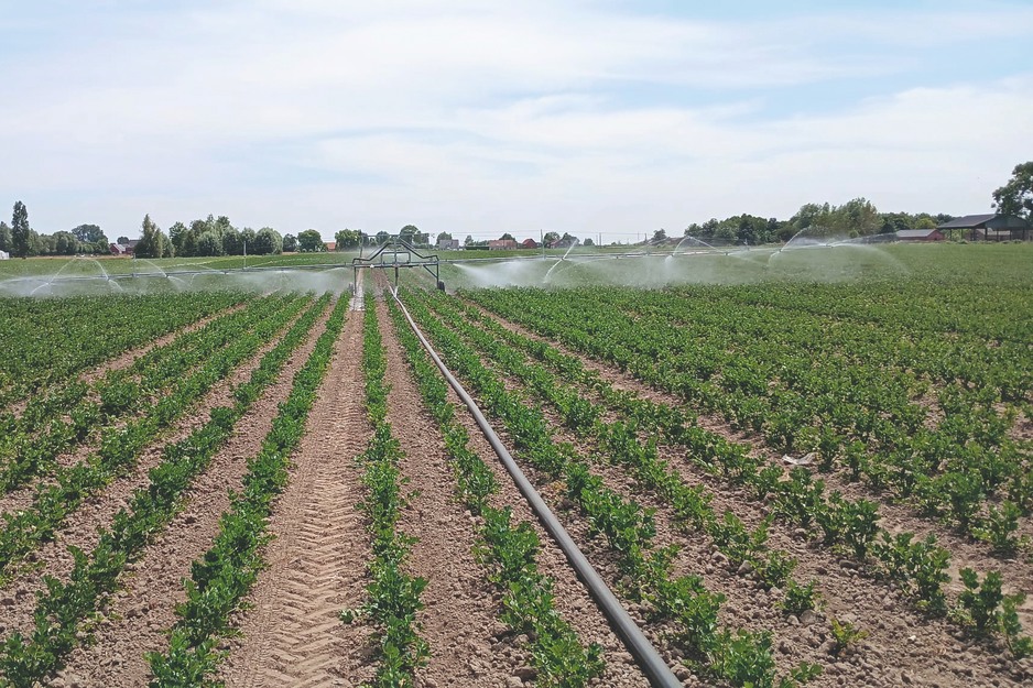 Huidige droogte laat zien dat waterproblematiek een tastbaar probleem is geworden
