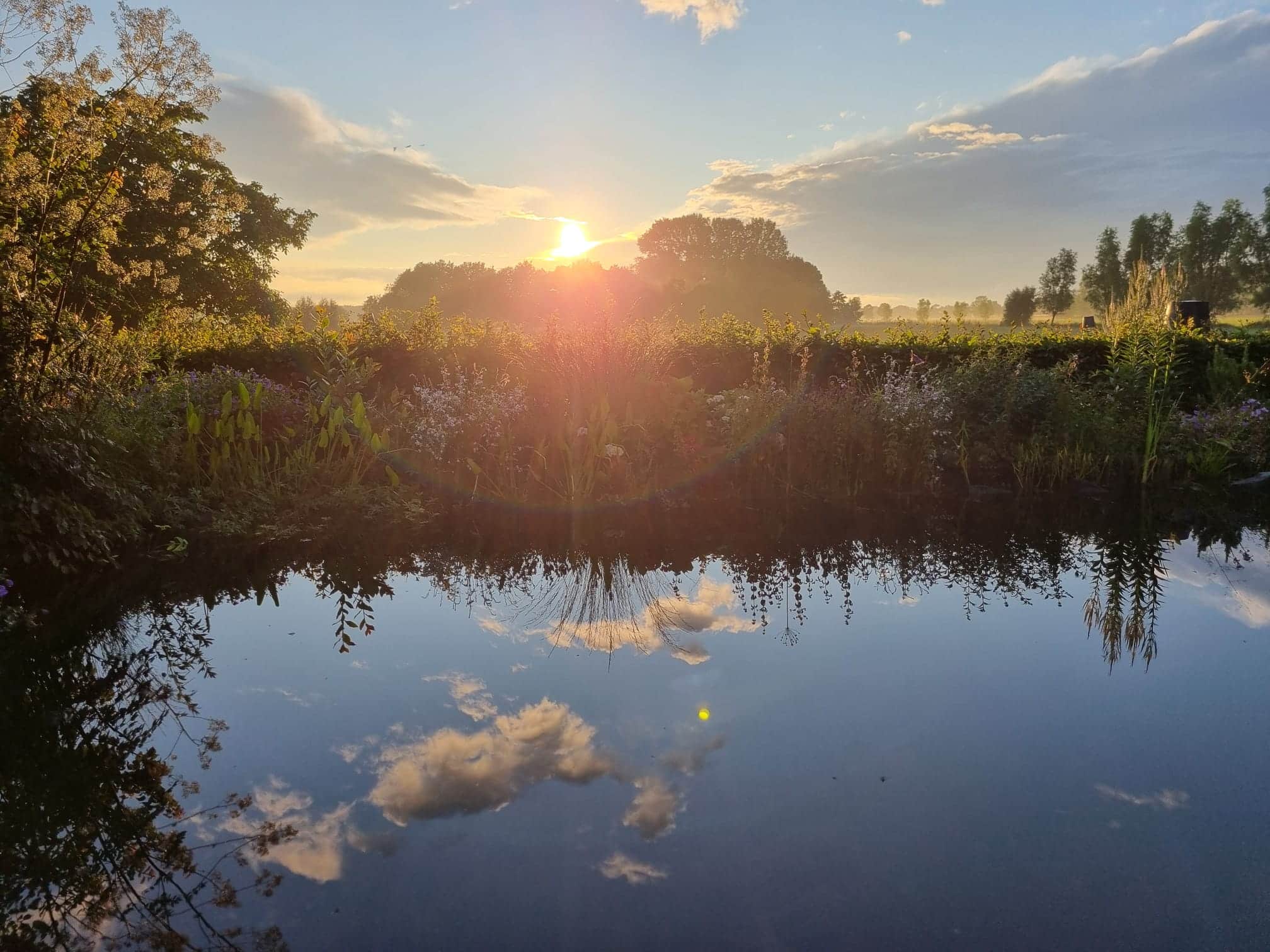 Met andere ogen: Op een zwoele zomeravond is Salland nog mooier
