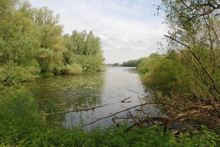 Infocentrum IJssel Duurse Waarden
