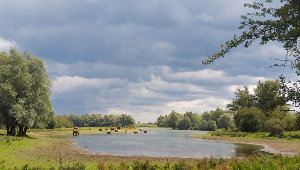 Mediterende struintocht in de Duursche Waarden
