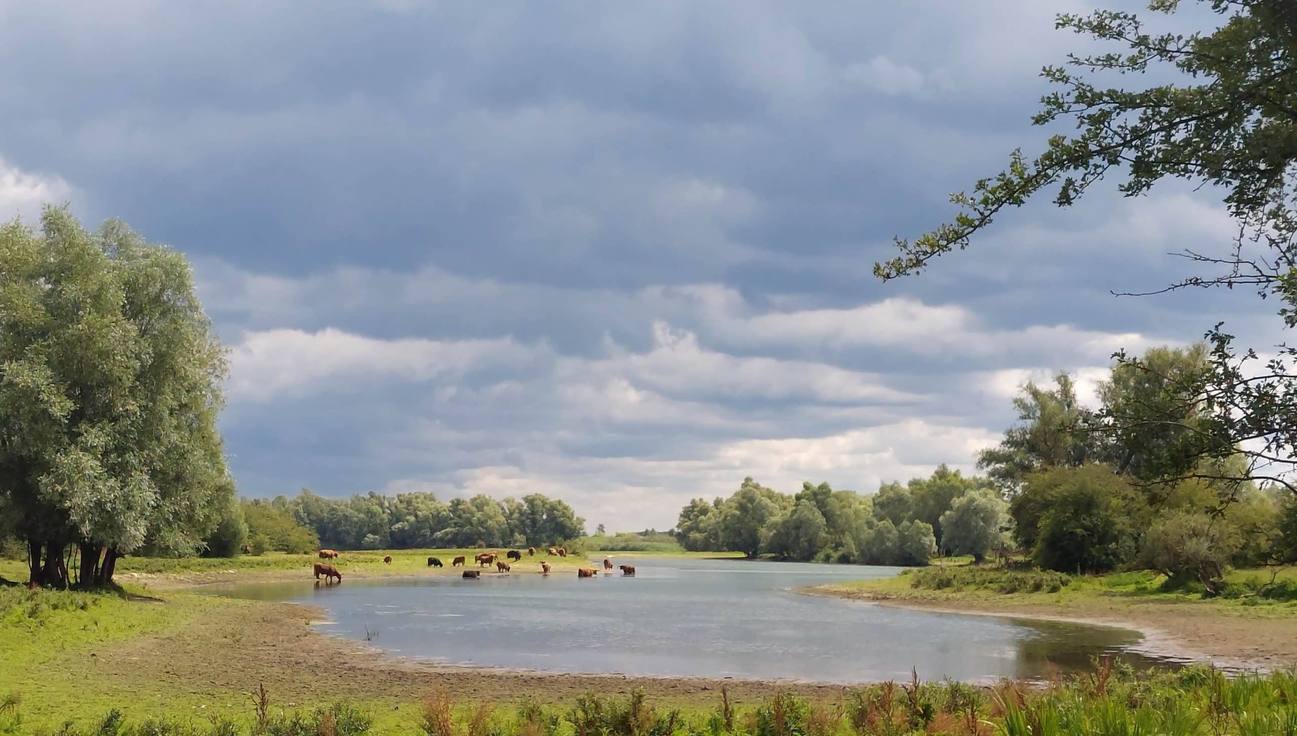 Mediterende struintocht in de Duursche Waarden