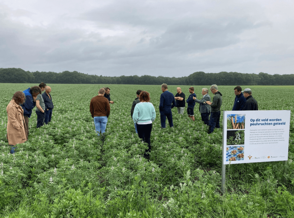 Overijssel versnelt de teelt van plantaardig eiwit uit eigen bodem