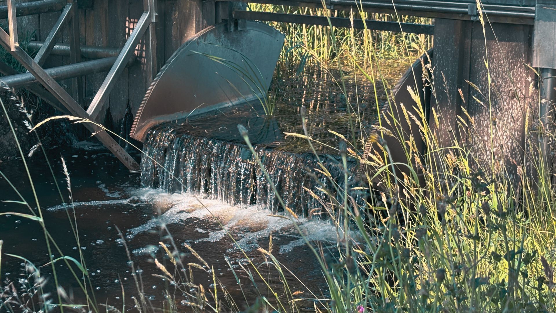 Nederlandse zomer zet door