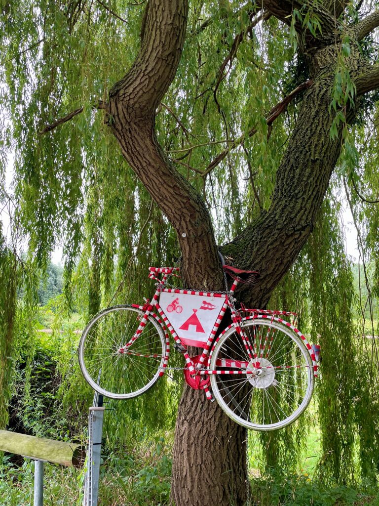 Anny Legebeke fiets in boom
