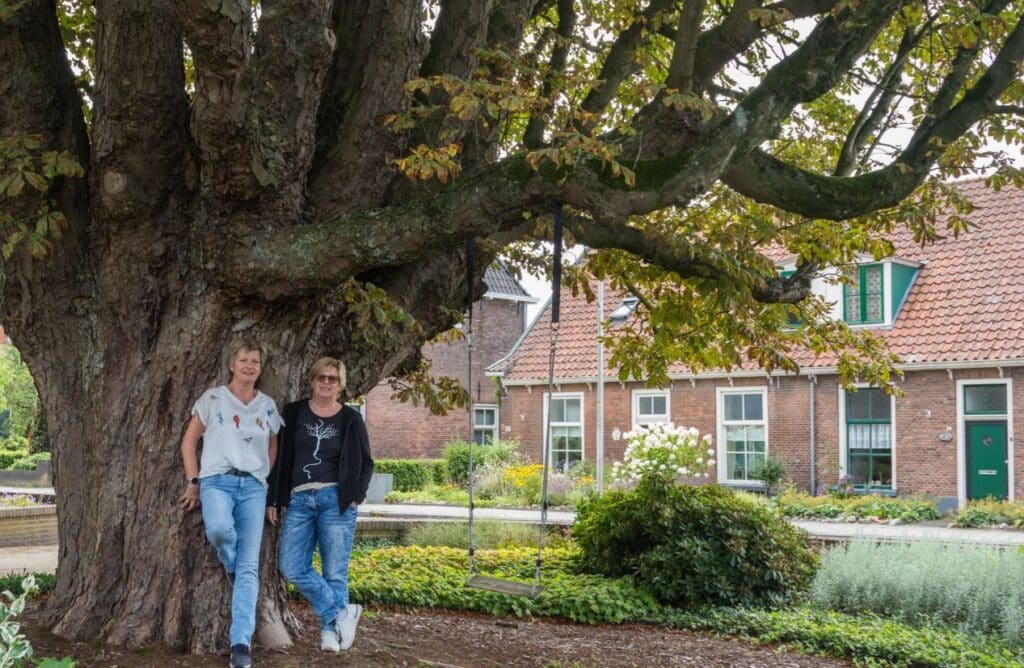 🌳 Had je jouw mooiste boom van Salland al doorgegeven?