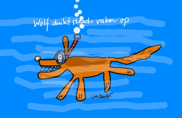 Tien jaar wolf in Salland: wat de cijfers werkelijk laten zien