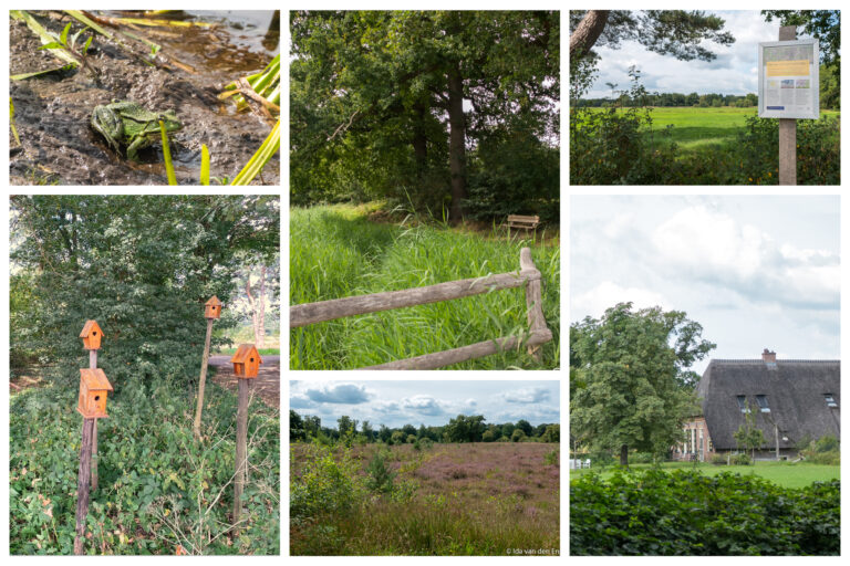 Hoe mooi is Salland?!  Wandelen met Ida door de Eerder Achterbroek