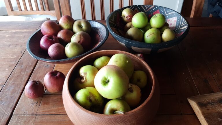 ‘t Natuurlijk Huus: Appeltijd