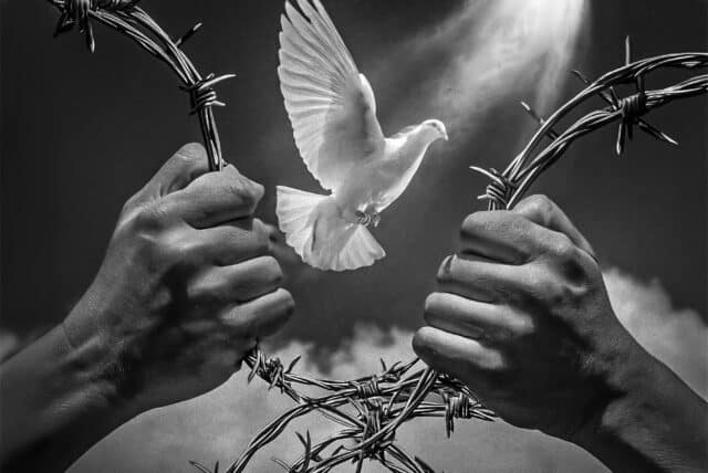 Fotoclub Salland organiseert in samenwerking met Bibliotheek Salland een expositie ‘Vrijheid in Nederland’