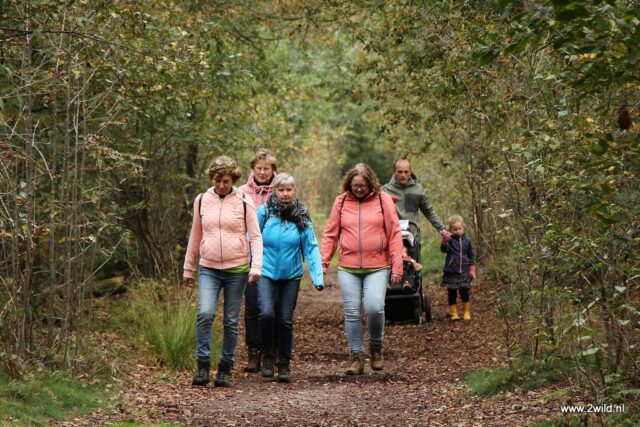 Herfstwandeling museum De Laarman Luttenberg