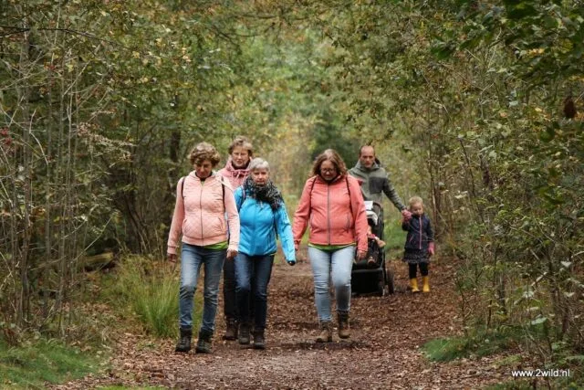 Herfstwandeling museum De Laarman Luttenberg