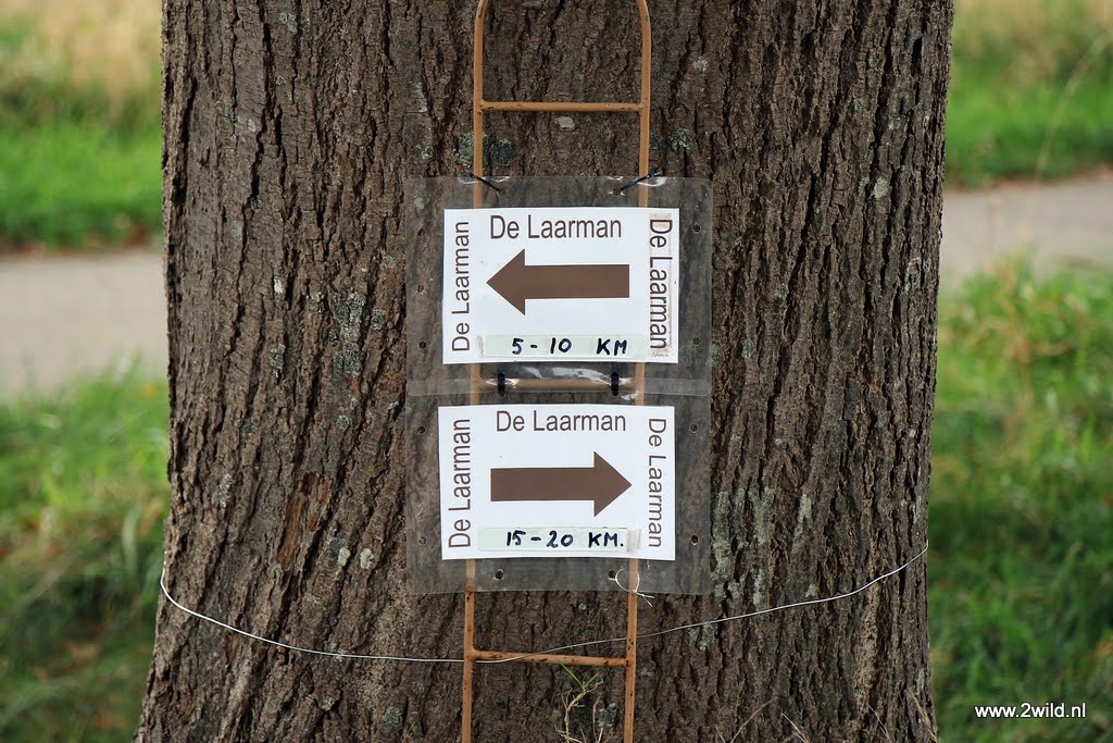 Laarman herfstwandeling