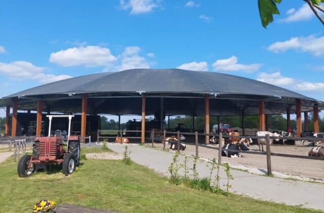 Winnaars fotowedstrijd ‘Meest geliefde boom van Overijssel’ bekend