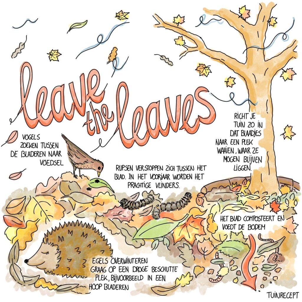 Agnes poster bladeren