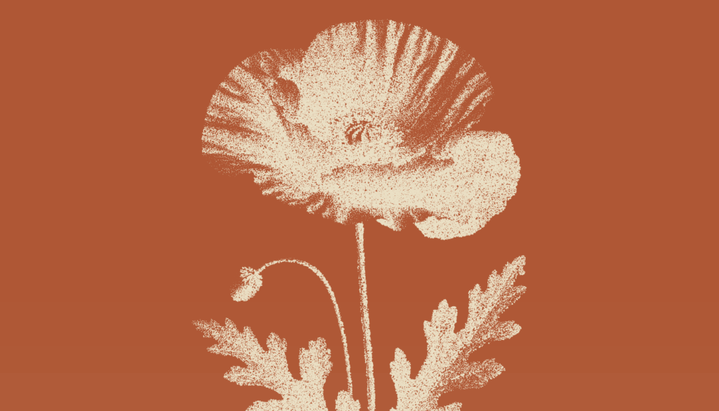 MaatschapWij: Thuis op deze Aarde