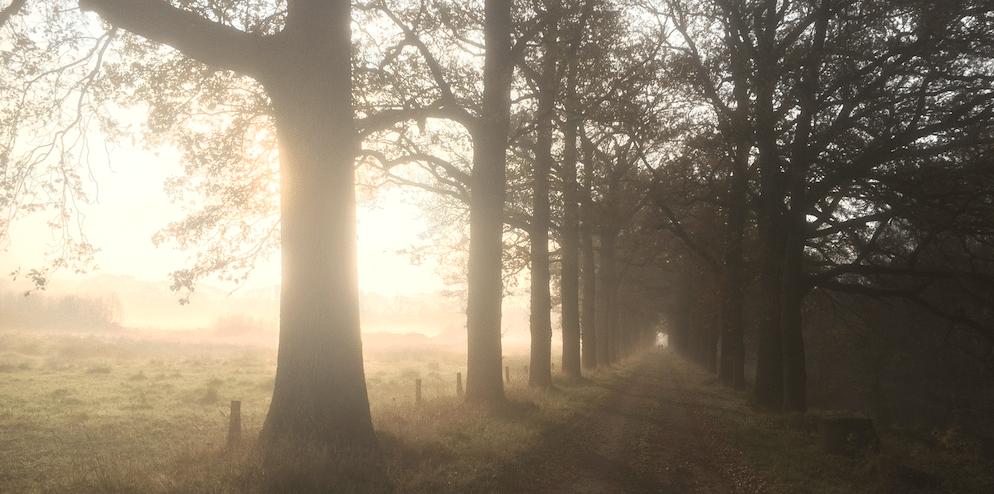 Bezinningsdag op Landgoed Verwolde Laren (Gld,)