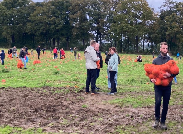 Duizenden mensen kopen pompoenen van het veld bij Overesch