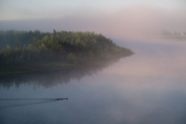 Ontwerp-projectbesluit Natura2000-gebied IJsseluiterwaarden, deelgebied Fortmond – Duursche Waarden ter inzage