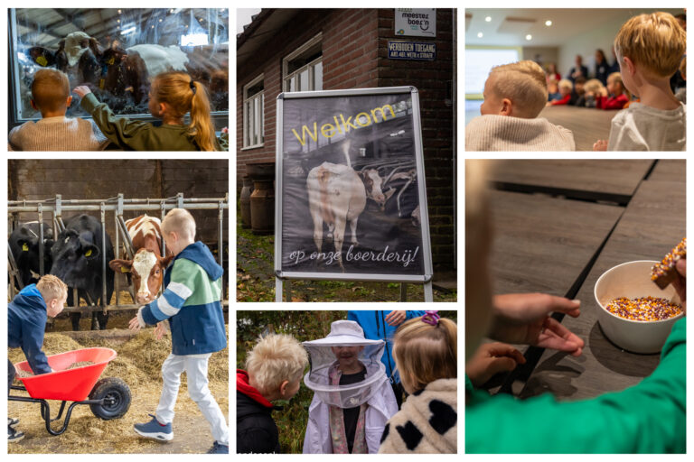 HOE MOOI IS SALLAND ?!?! De week van het eten