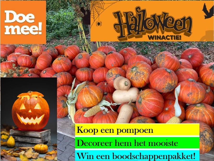 Halloween! Pompoenen rapen en lekker gaan knutselen bij boerderijwinkel Overesch