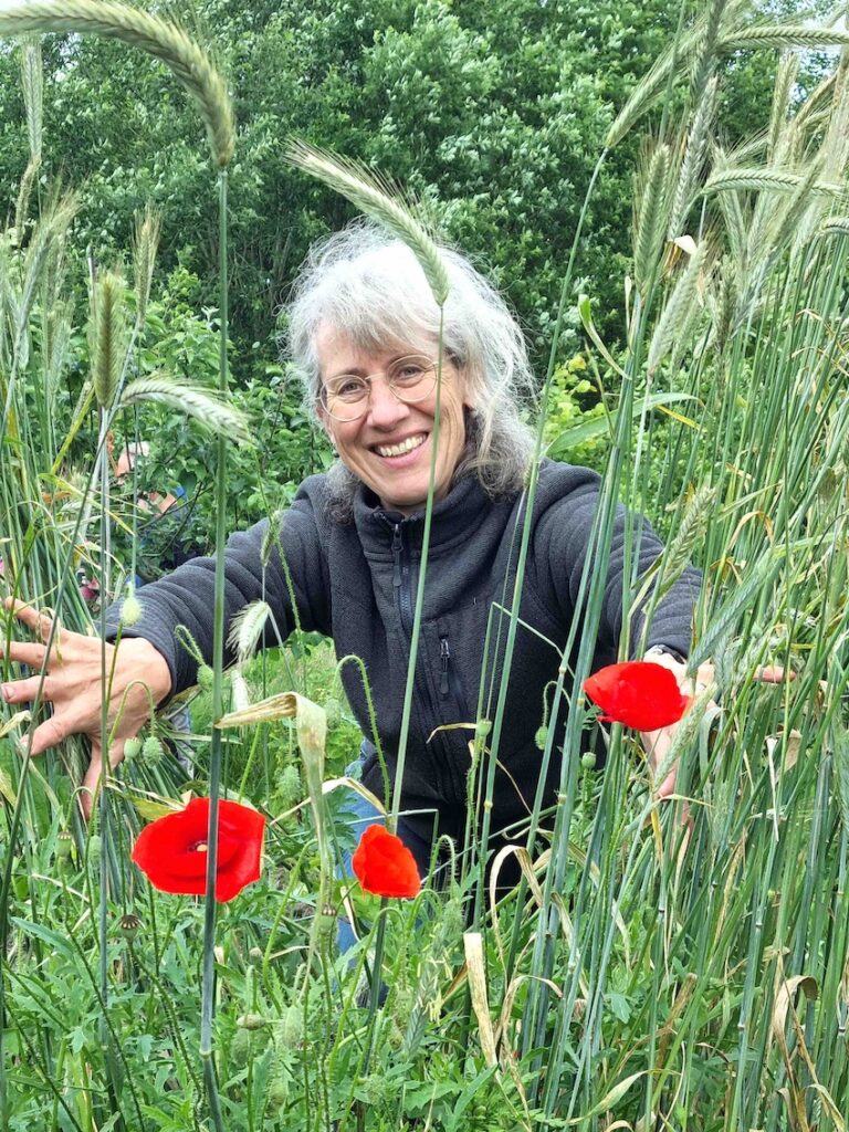 Lezing ‘De kracht van de zeven granen’ bij ‘t Natuurlijk Huus Raalte