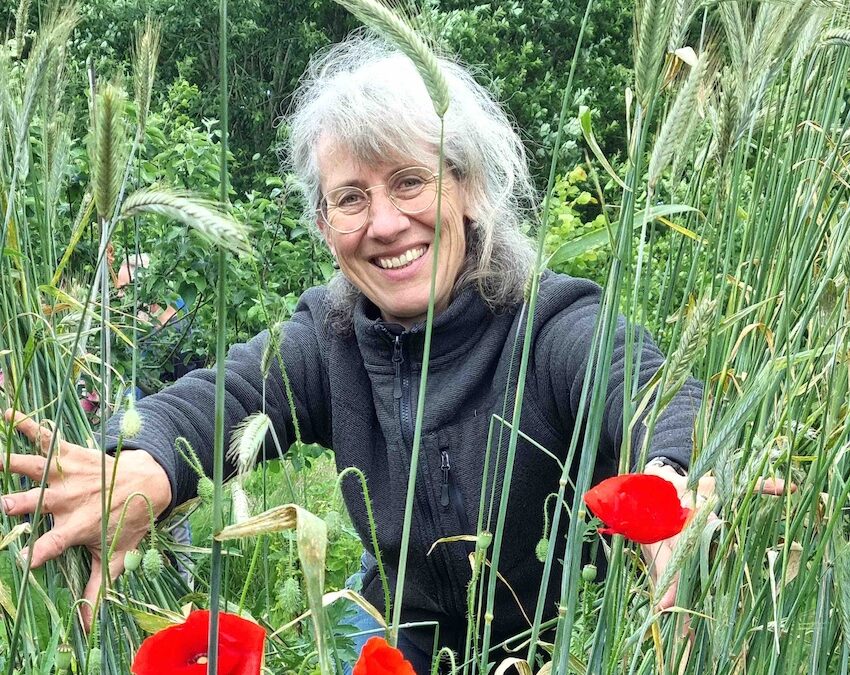 Lezing ‘De kracht van de zeven granen’ bij ‘t Natuurlijk Huus Raalte