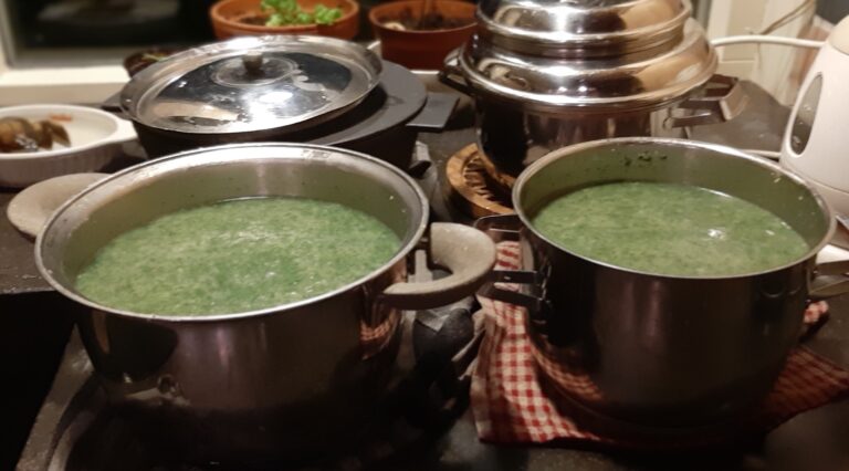 ‘t Natuurlijk Huus: Kunnen we onszelf nog redden?