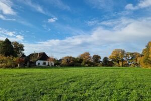 Tuinderij Haverkamp Biojournaal