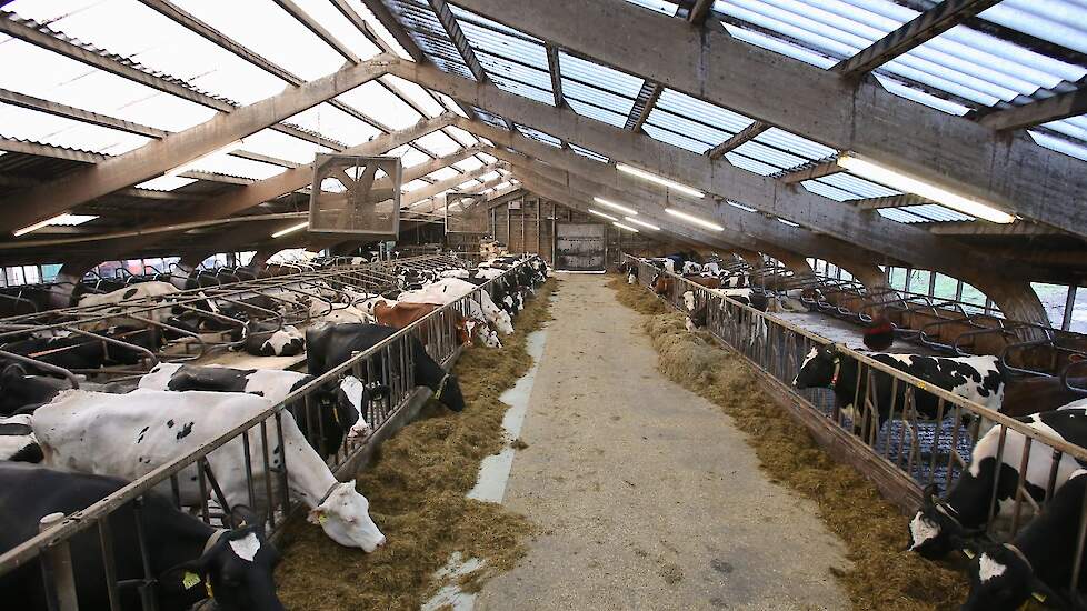 Diss’n van Roerink kwam nog wel eens ergens, ook op zaterdag