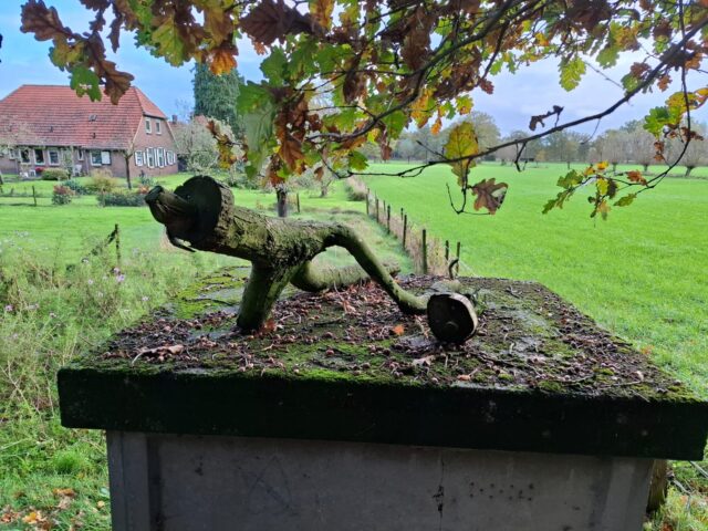 Met andere blik: Kunst op nutsvoorziening hoeft niet altijd graffiti te zijn