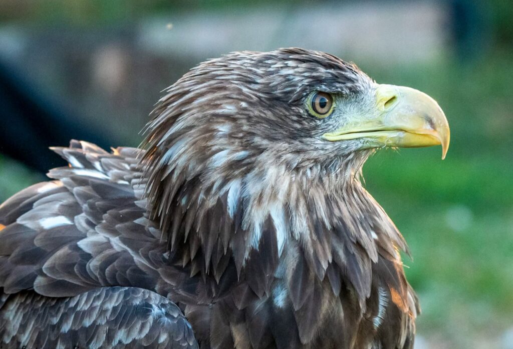 Excursie met IJsselnatuurgids bij Infocentrum IJssel Den Nul