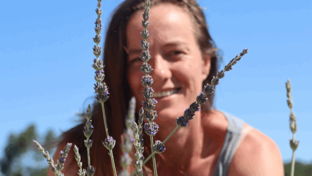 MaatschapWij: Vervreemding is de norm