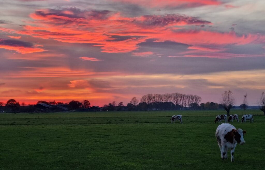 Waarom de luchten zo mooi kleuren? Door klimaatverandering!