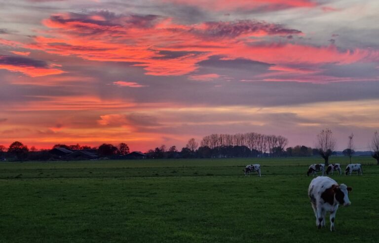 Waarom de luchten zo mooi kleuren? Door klimaatverandering!