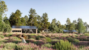 Staatsbosbeheer wonen en bomen