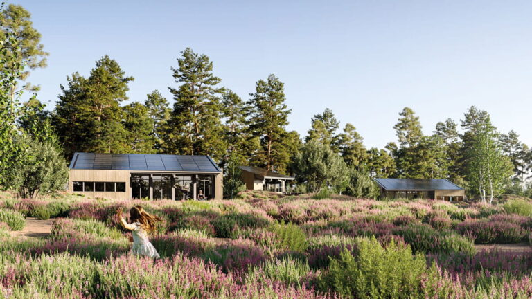 Staatsbosbeheer: Door de bomen, gebiedsontwikkeling in het buitengebied