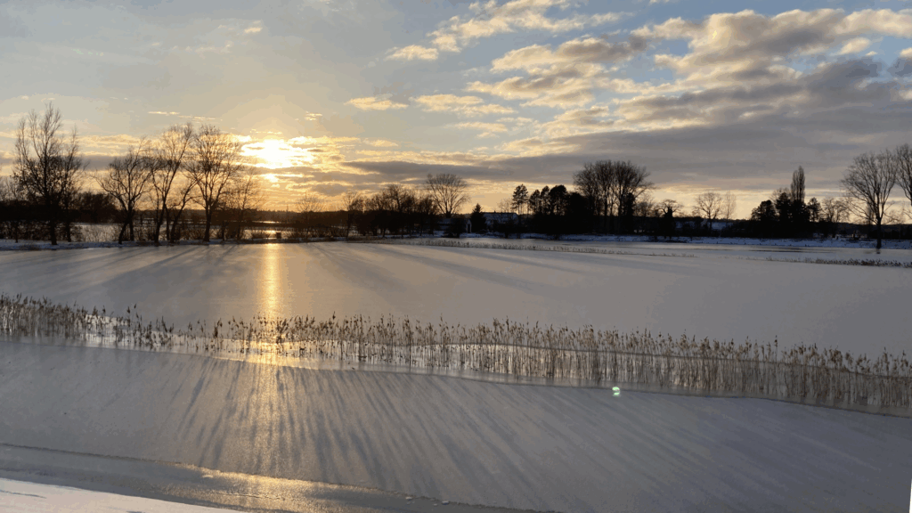 Begroting Waterschap 2026: vasthouden aan koers met beperkte stijging belastingtarieven