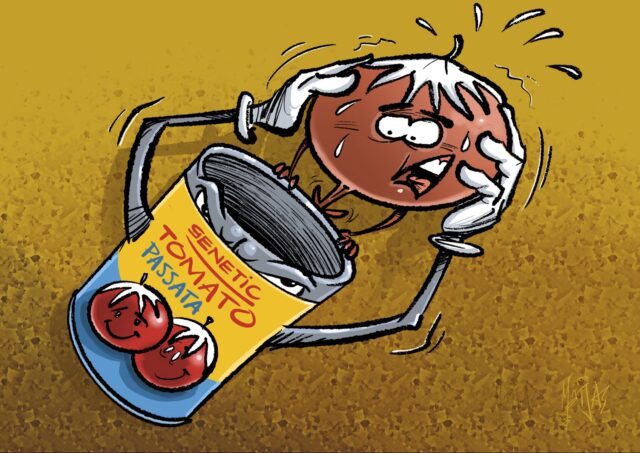 Biowinkelvereniging luidt alarm over ongecontroleerde gentech in voedsel