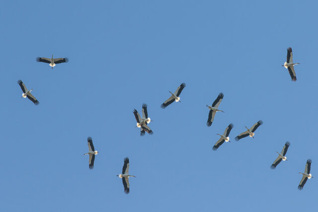 Met Open Oog: Ontmoetingen.