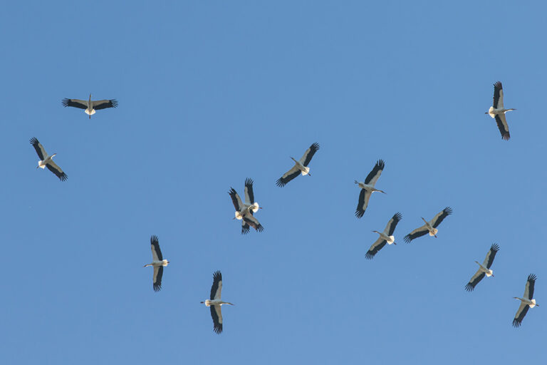 Met Open Oog: Ontmoetingen.