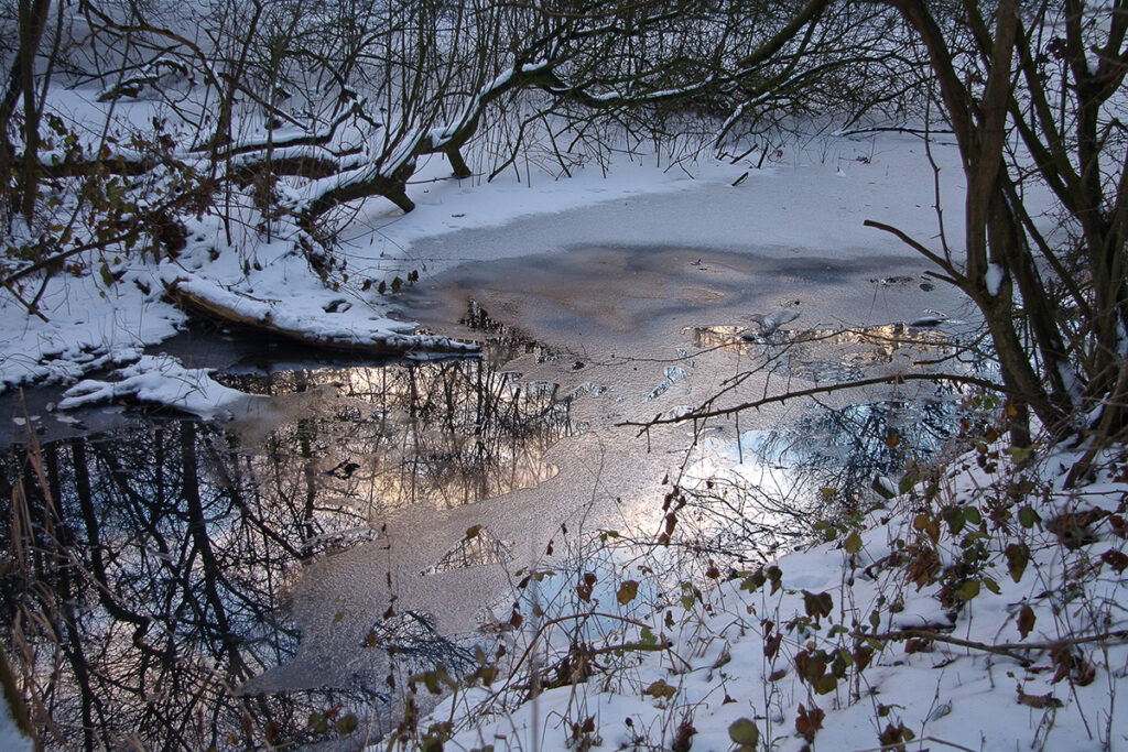 Met Open Oog: Winterlicht