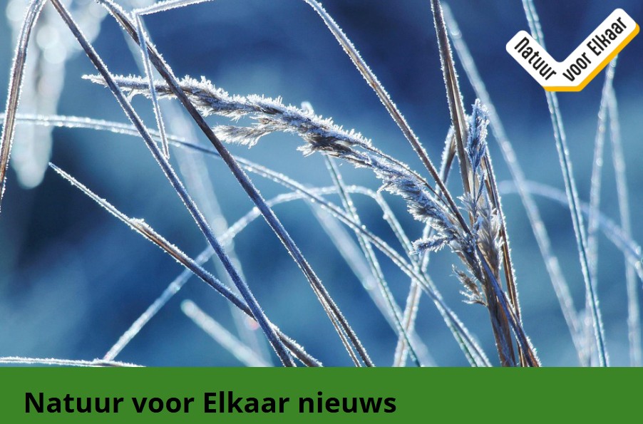 Natuur voor Elkaar nieuwsbrief