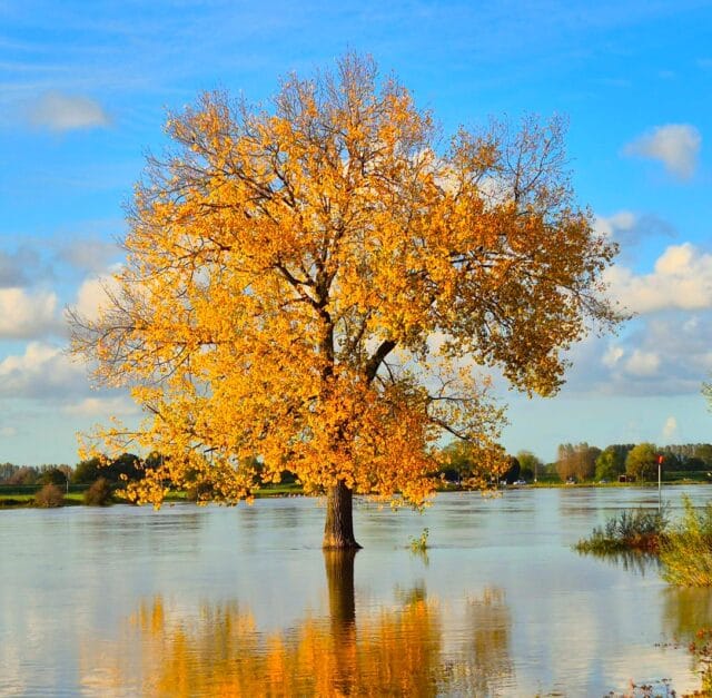 Gemeente Olst-Wijhe ondersteunt evenementen langs de IJssel in Olst met € 15.000