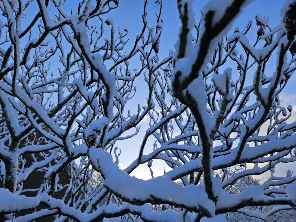 Gosse Jongstra: Klimaat