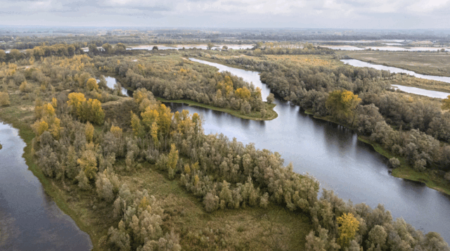 Staatsbosbeheer staat voor de groene toekomst van Nederland